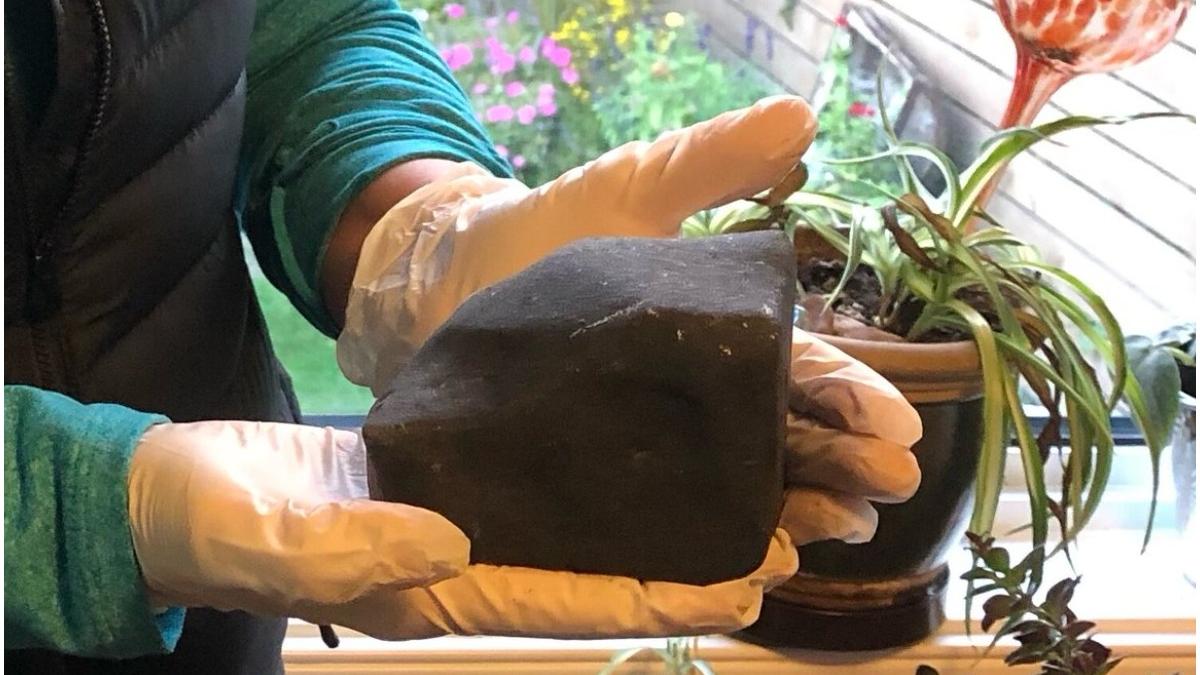 meteorit british columbia pat