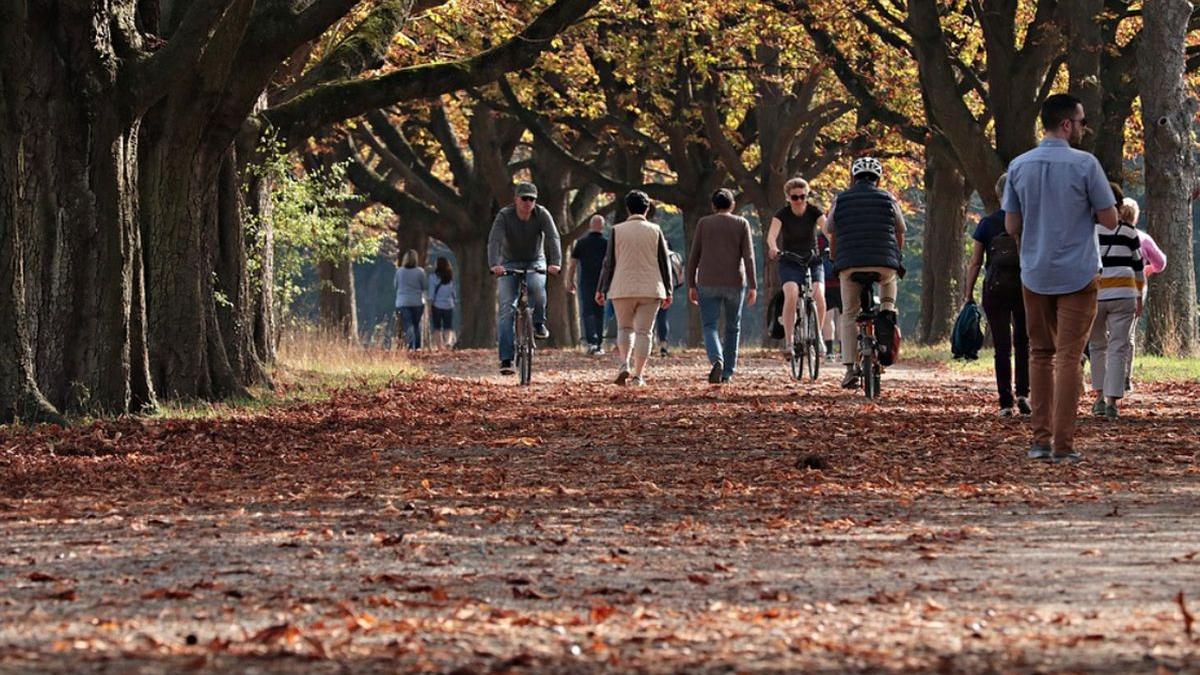 prognoza meteo 18 octombrie 15 noiembrie 2021 vreme anormal calda