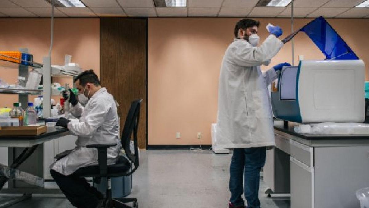 studii spitale romania pacienti covid efecte antibiotice boli autoimune