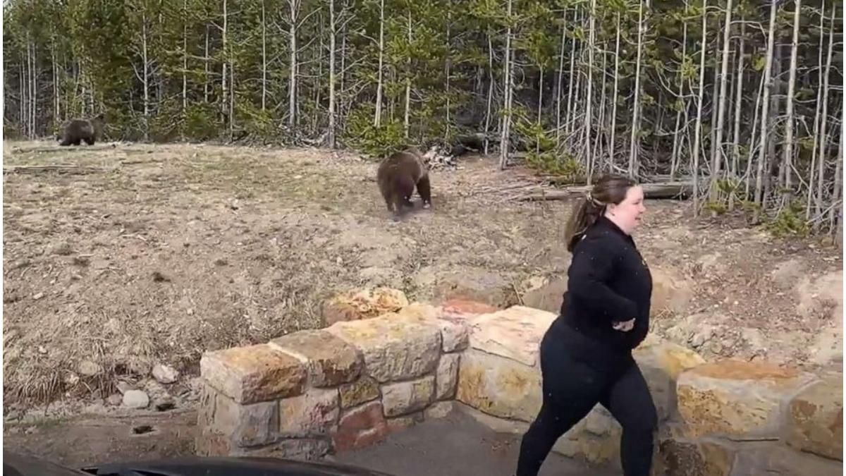 amercanca inchisoare ursoiaca