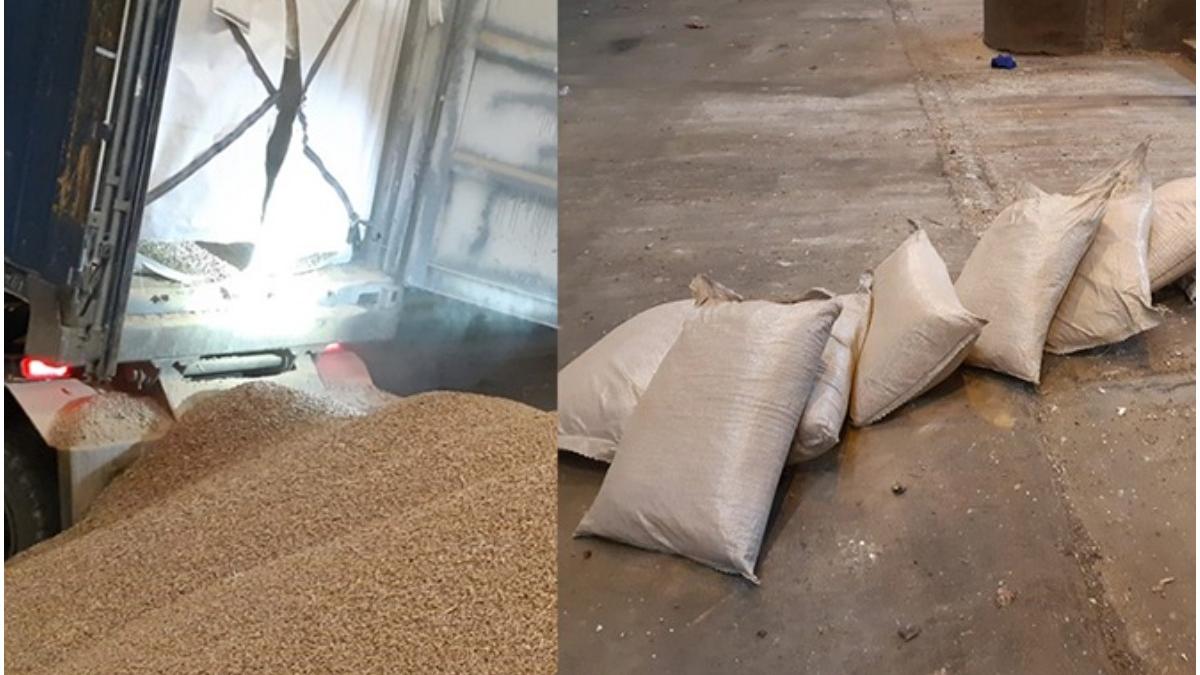 captura cocaina olanda