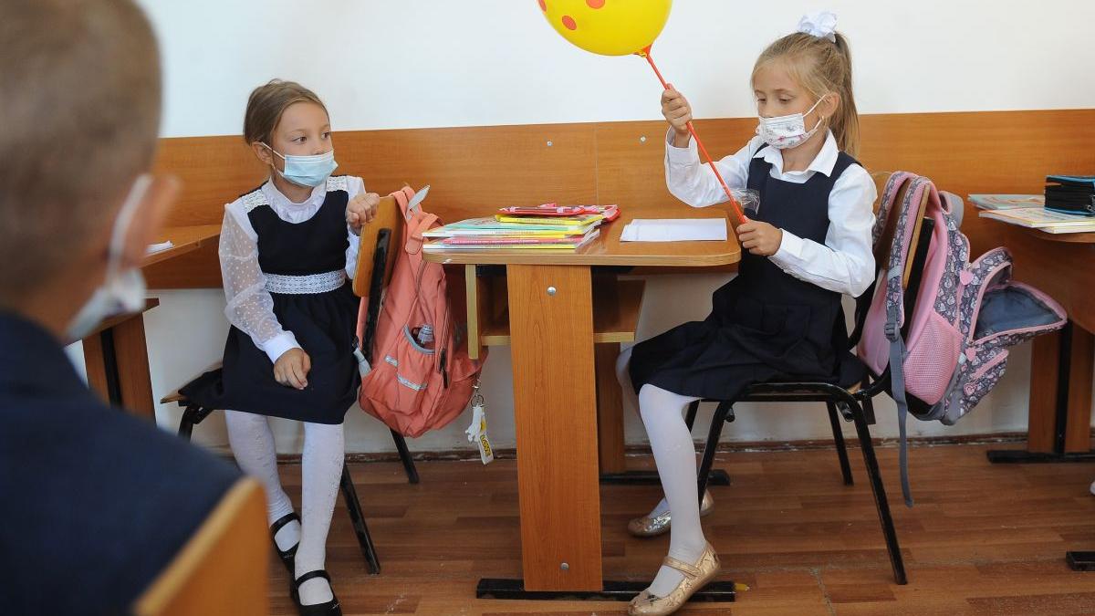 educatie juridica financiara antreprenoriala devin materii obligatorii viitor an scolar