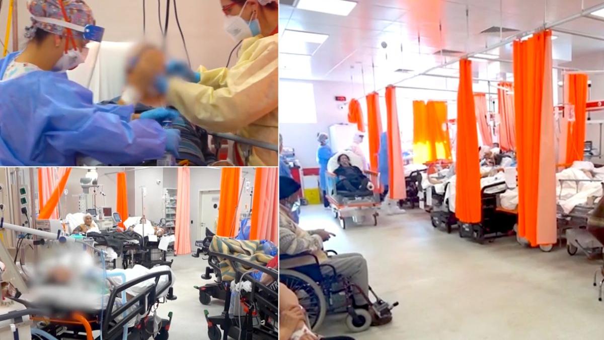 romania stare dezastru medic morga