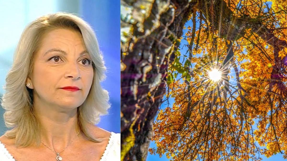 prognoza meteo 25 octombrie 7 noiembrie