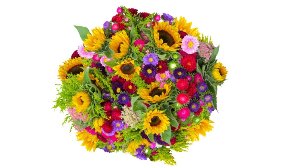 ce cadou sa daruiesti de casa noua