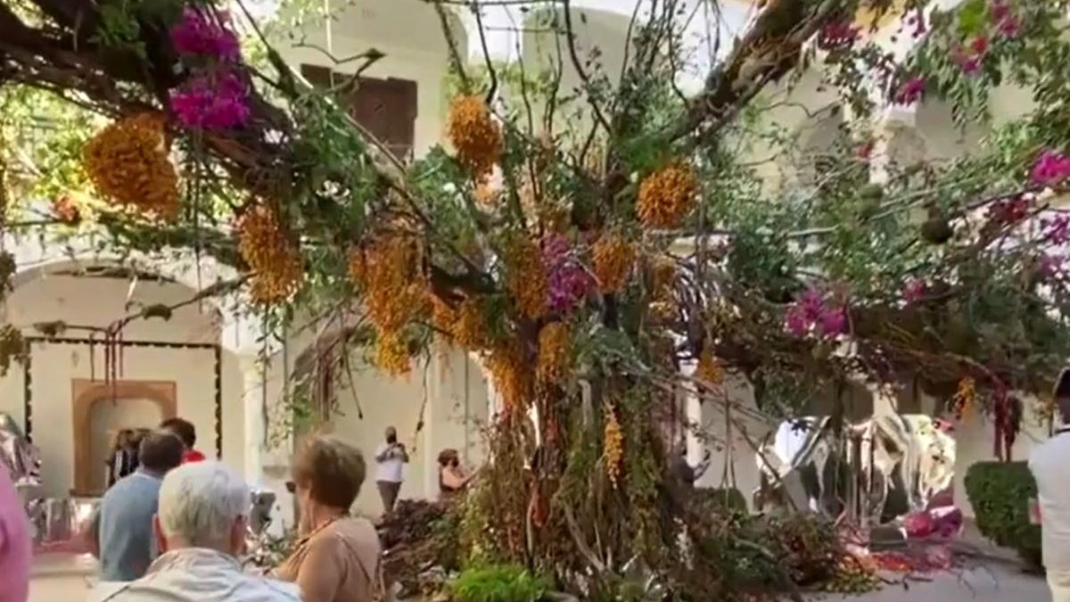 cordoba orasul in care gradinile sunt inflorite tot anul