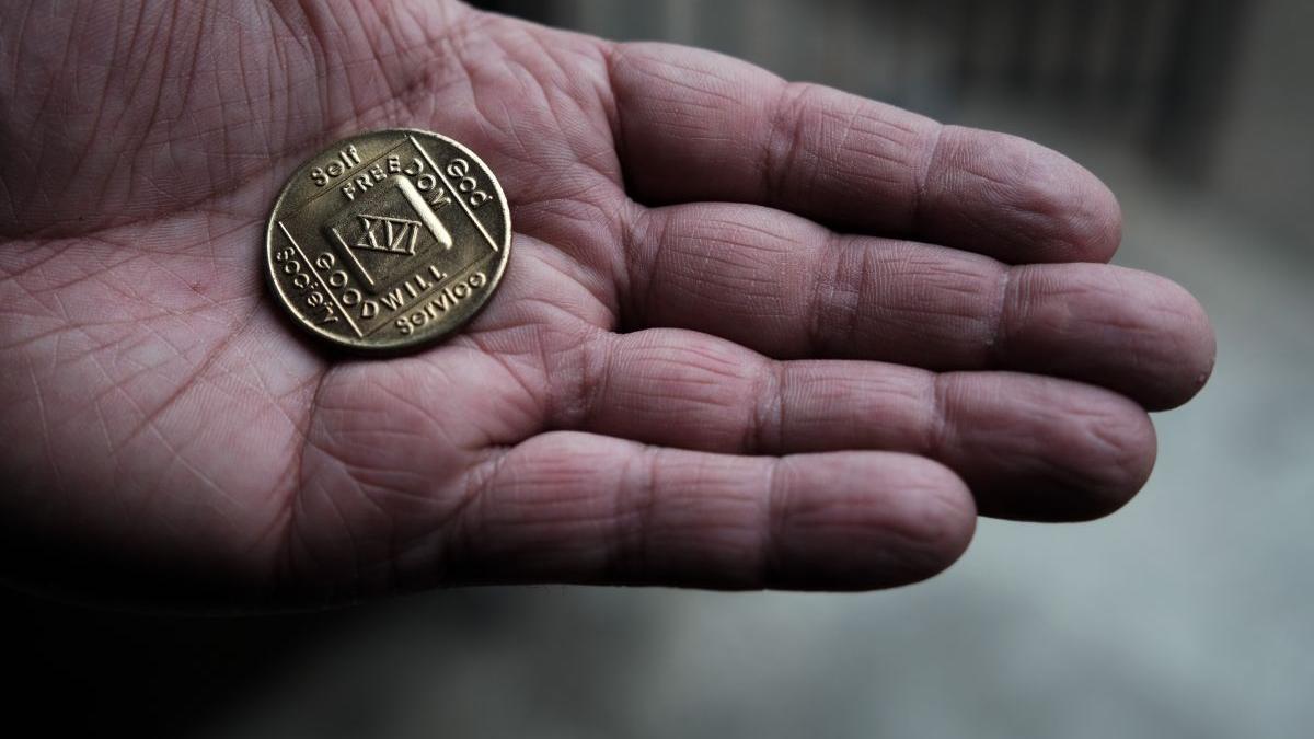 saracia excluziunea sociala comisii specialitate parlamentul european