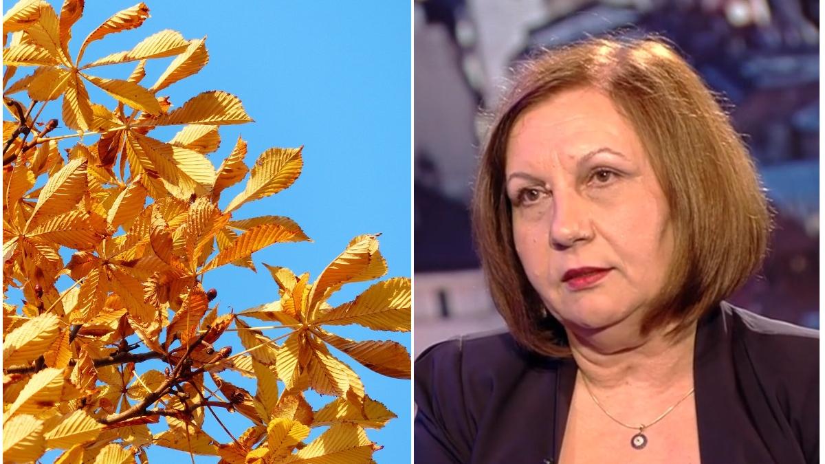 directorul anm anunta 20 de grade celsius la inceput de noiembrie cat mai tine vremea buna