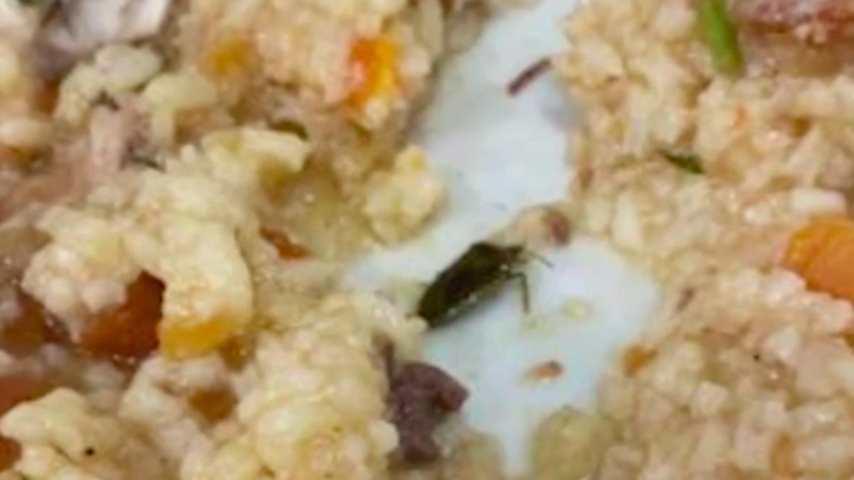 mancare cu gandaci pentru studentii de la academia de politie in 1998 ni se servea acelasi balast