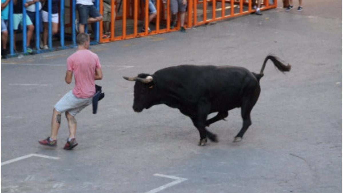 barbat ucis doi raniti taur spectacole traditionale spania