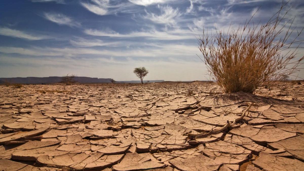 apele romane scenariu sumbru romania ar urma sa fie afectata de o criza a apei seceta