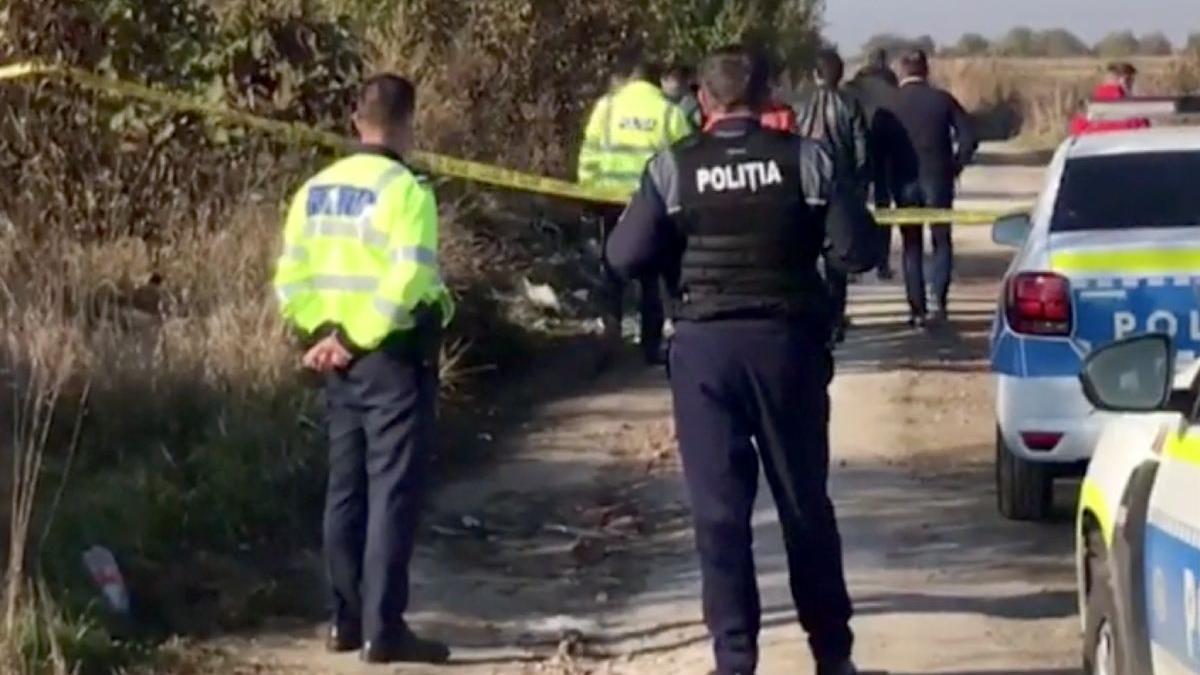 reconstituire chip fetita gasita moarta arad