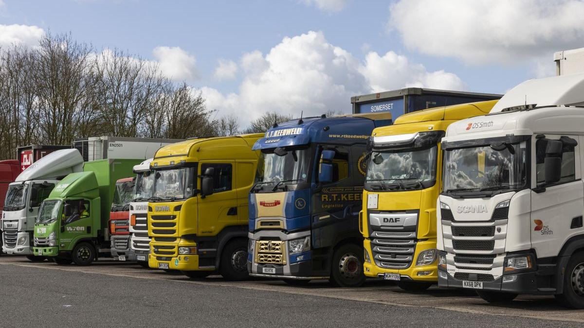 tone soia modificata genetic plecate prin tara bombe ecologice