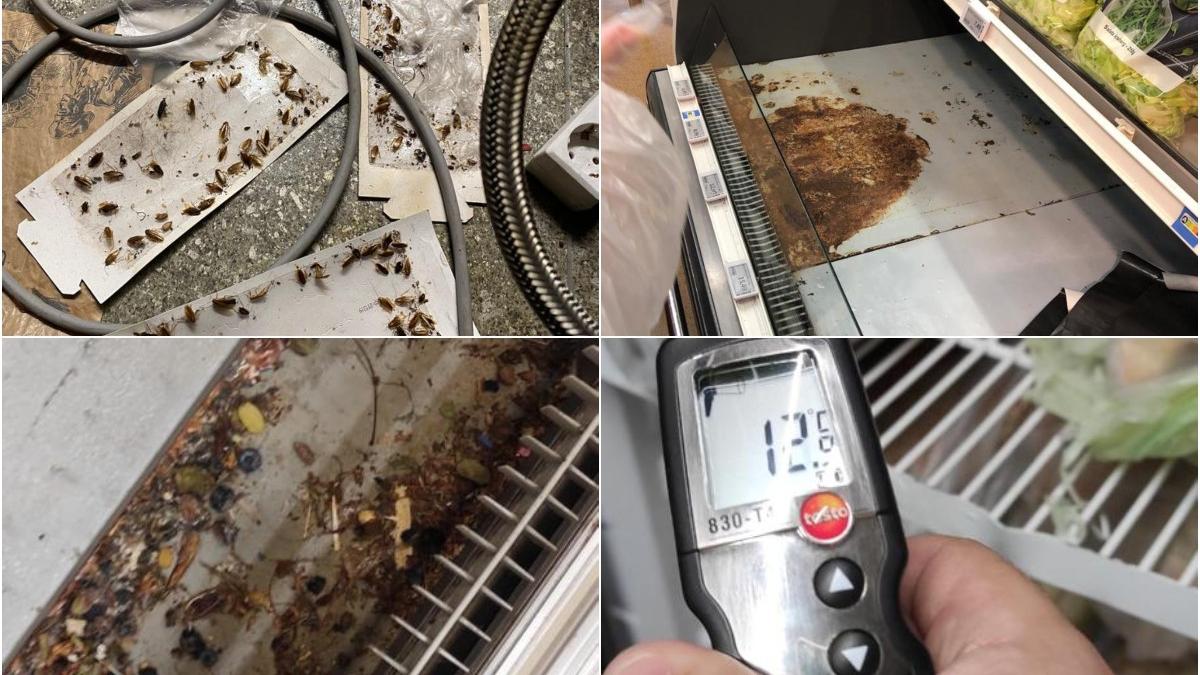 anpc cere inchiderea temporara a 4 magazine mega image din bucuresti controale