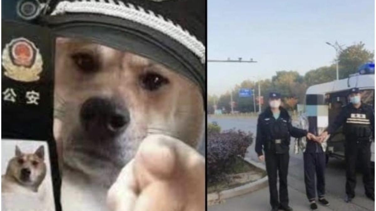 chinez retinut dupa ce a ironizat politistii si s a plans de restrictiile anti covid 19