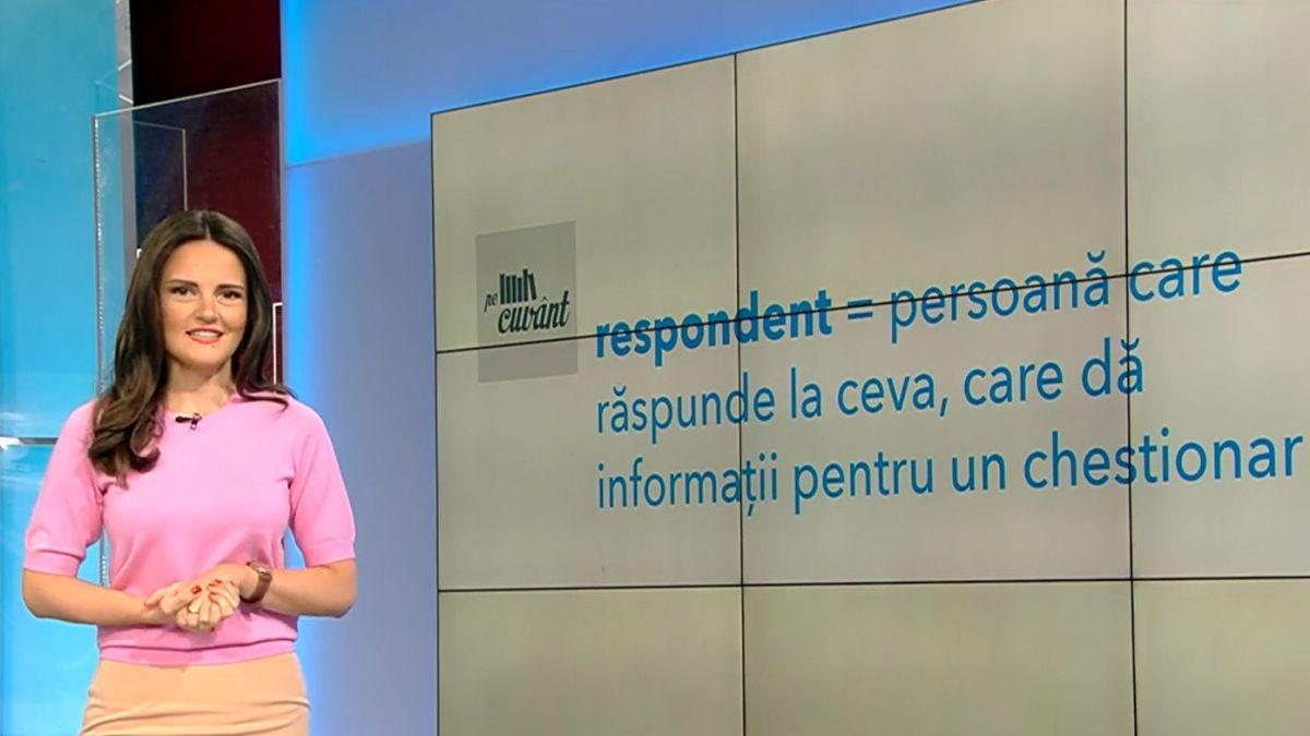 repondent sau respondent pe cuvant cu ana iorga