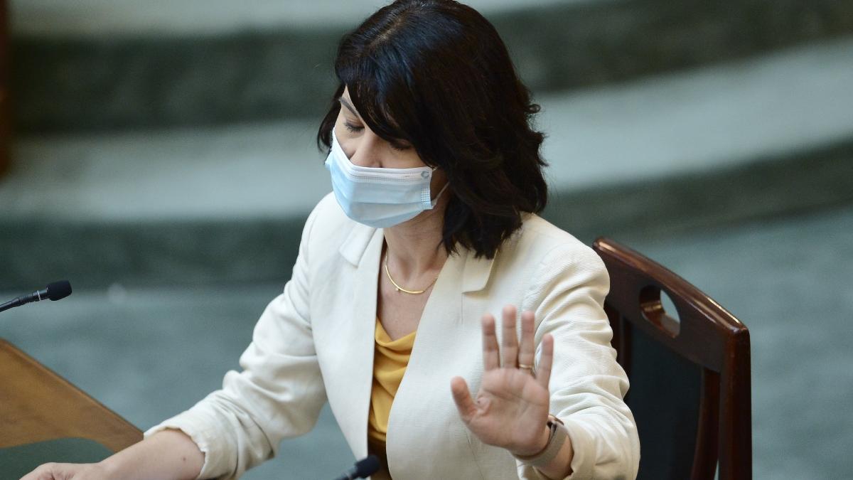 violeta alexandru demisie grup parlamentar pnl