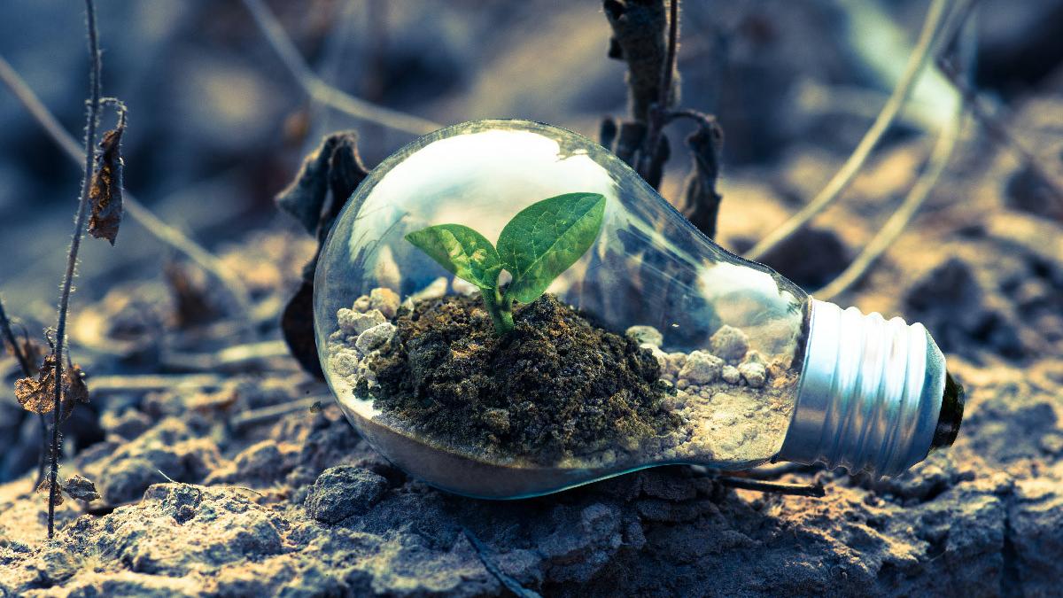 mircea cosea analist economic blackout motive austria pana de curent