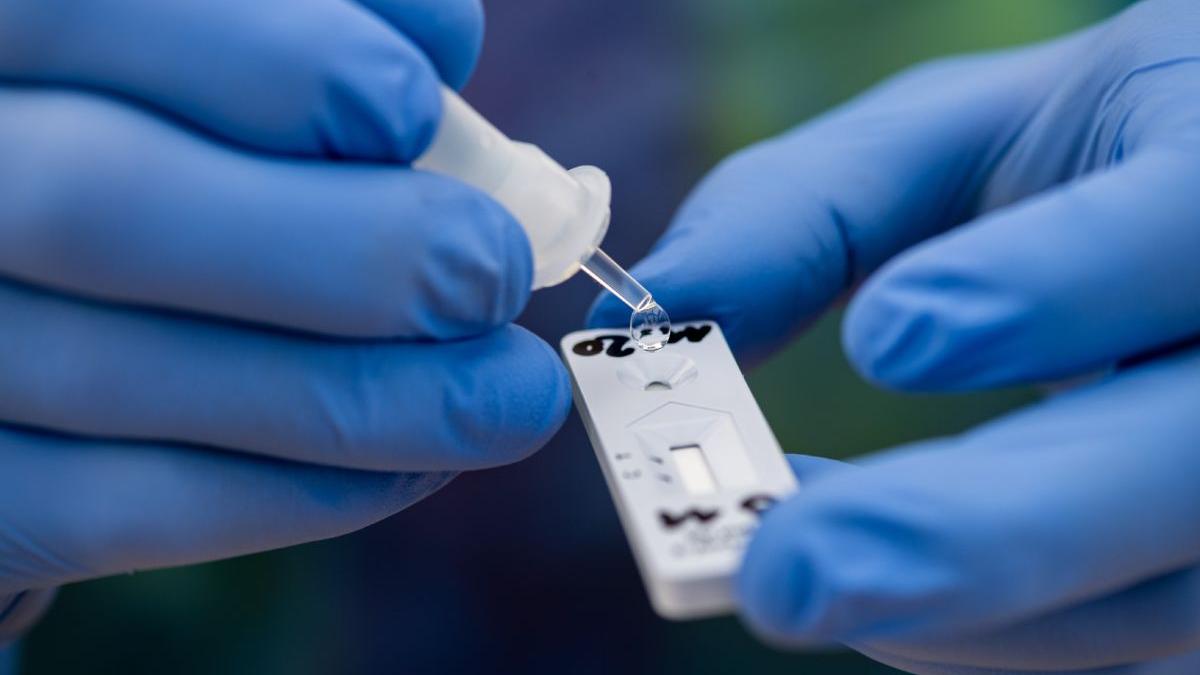 afaceri de milioane cu testele pentru copii cine a pus mana pe contracte