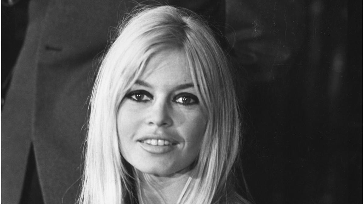 brigitte bardot amenda injurii publice rasism