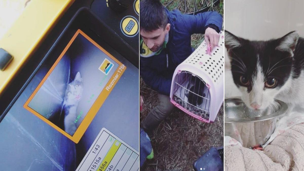 motan rzeszow polonia conducta