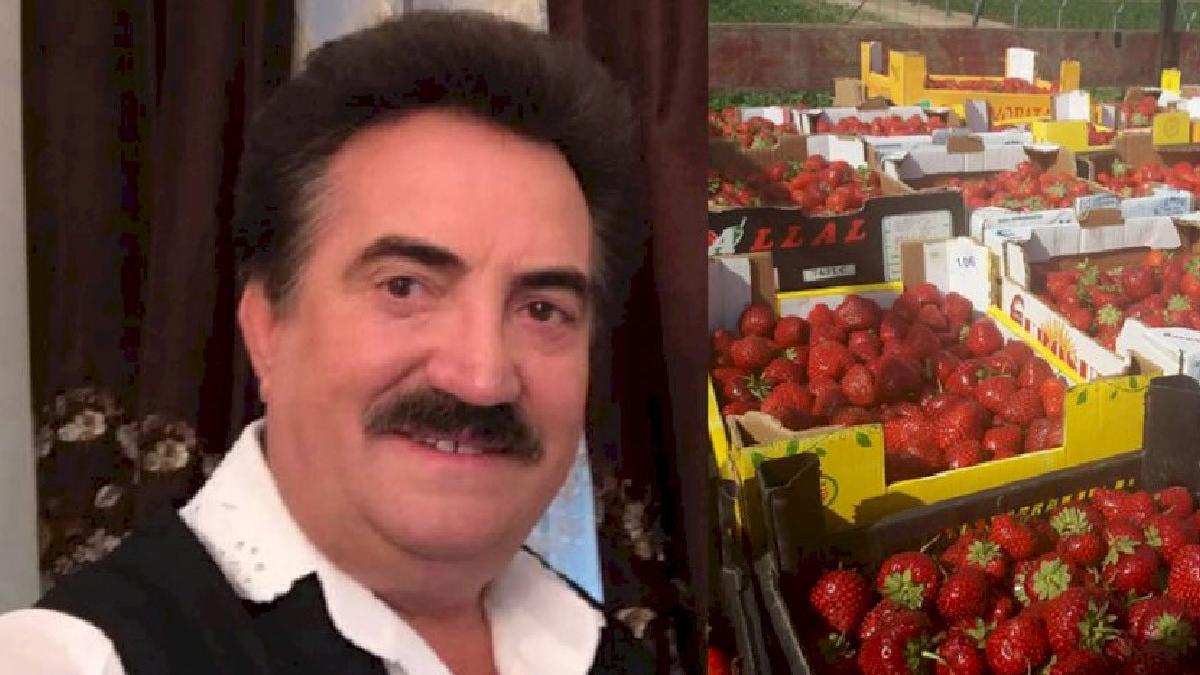 petrica mitu stoian afacere agricultura pandemie capsuni