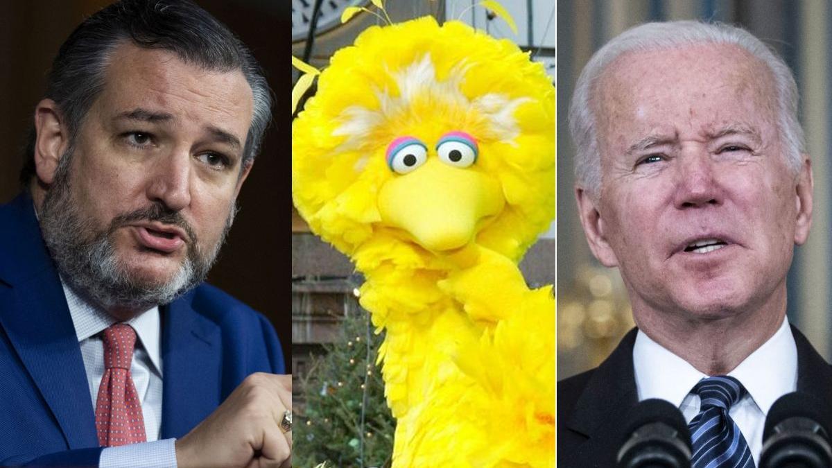 big bird vaccin covid sesame street ted cruz joe biden scandal politic
