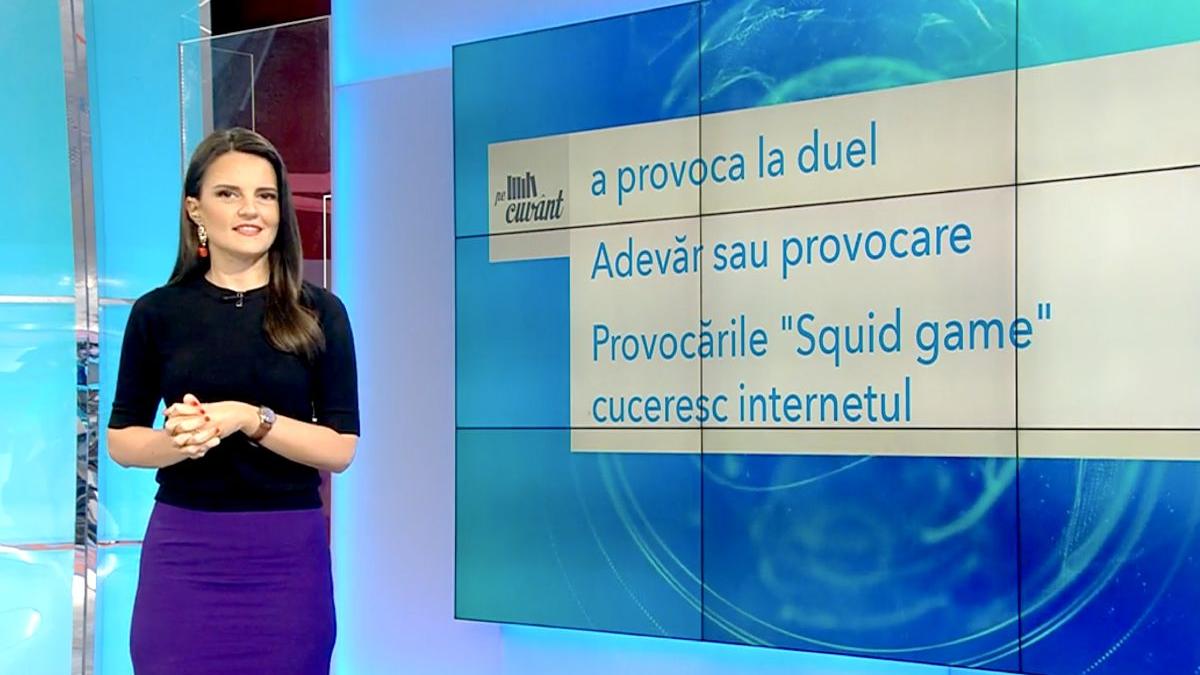 sens cuvant provocare pe cuvant ana iorga