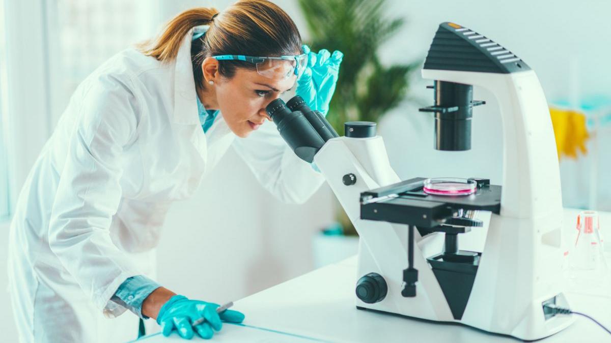 cercetatori incurajati proiecte finantare