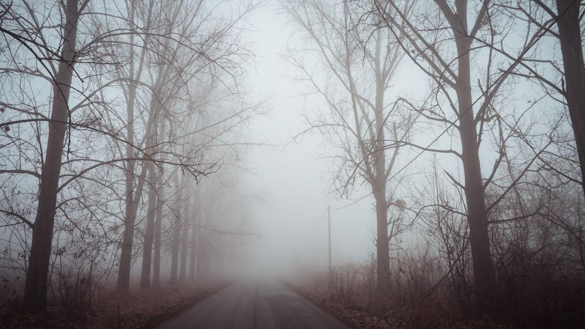 cod galben de ceata in 14 judete din ardeal muntenia si dobrogea