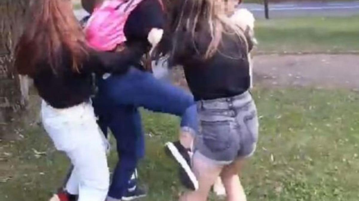 eleva caransebes batuta adolescente scoala