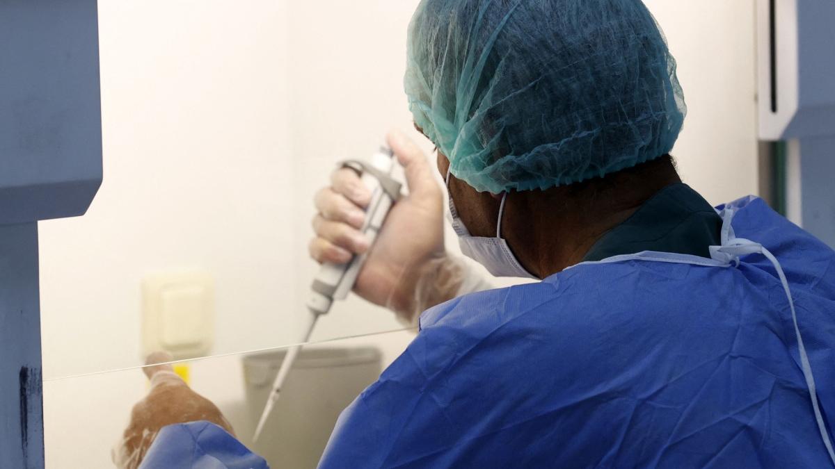 test pcr care indica tulpina covid 19 dar si in ce stadiu este boala creat de cercetatorii romani