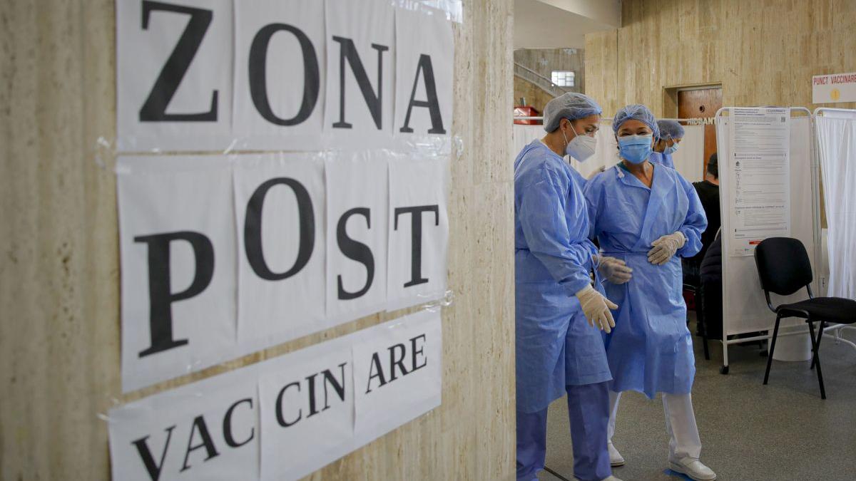 certificate false vaccinare bihor satu mare perchezitii