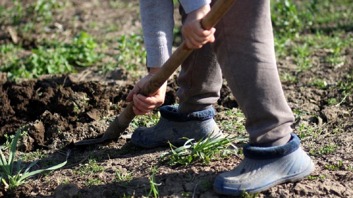 barbat dambovita retinut pentru favorizarea faptuitorului