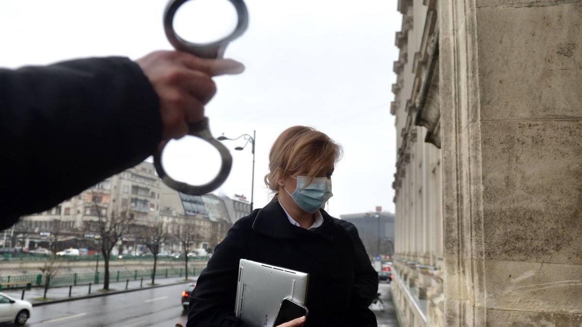 iubit ioana basescu adus politisti instanta