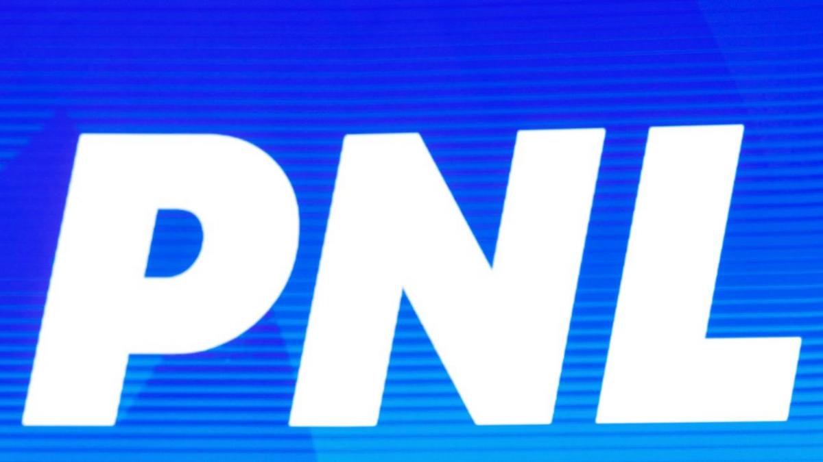 liviu dragnea marcel ciolacu florin citu