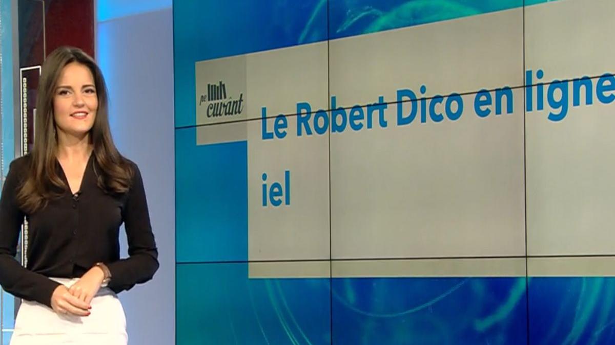 pronume personal dictionar le robert pe cuvant