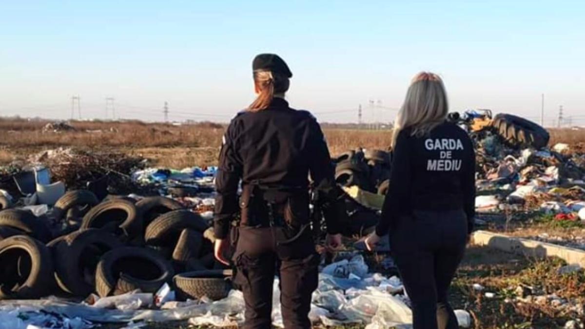 comisari de mediu atacati cu furci in ilfov tanczos barna nu trebuie sa existe clementa