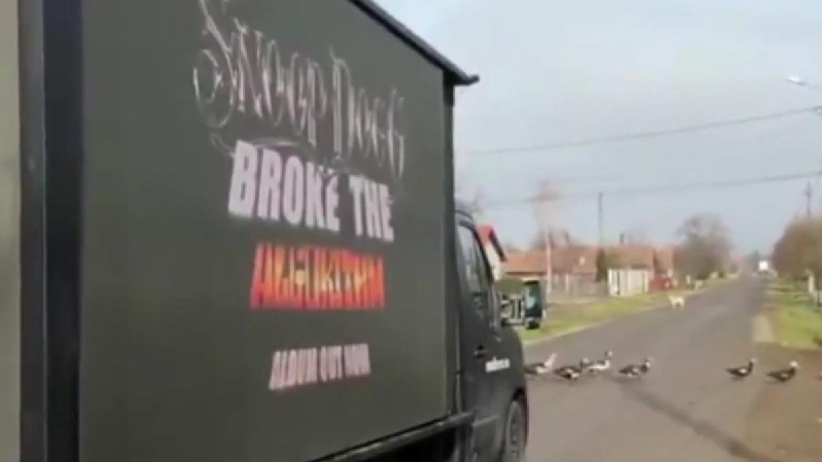 duba snoop dogg ulite bogata maramures