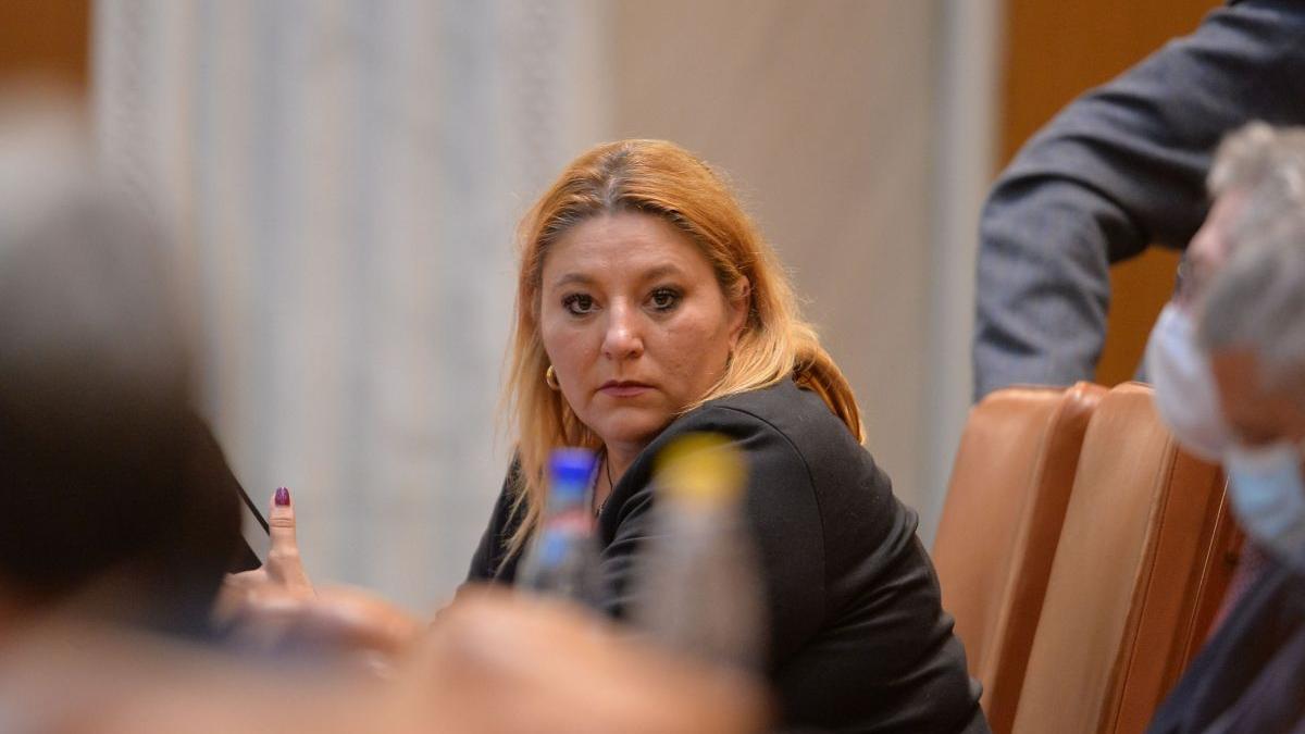 scandal senat politie diana sosoaca