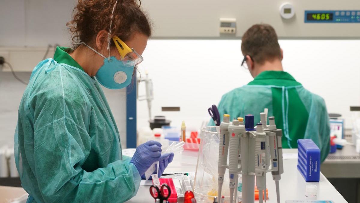 inovaliment targ exclusiv cercetare alimentara romania