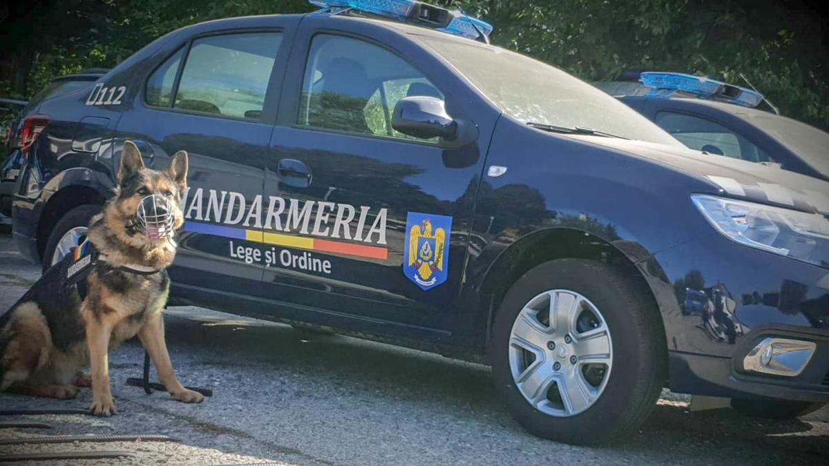 bilantul celor 457 de perchezitii din tara frauda de 6 milioane de lei cu certificate false