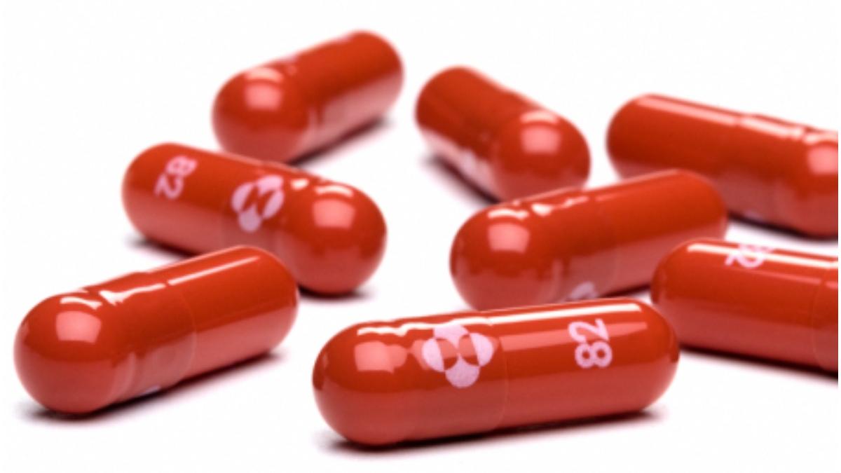 franta medicament covid molnupiravir