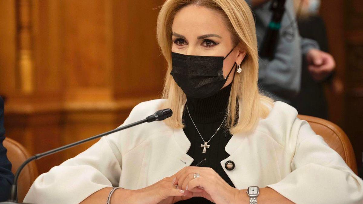 gabriela firea violenta familie stat actionare