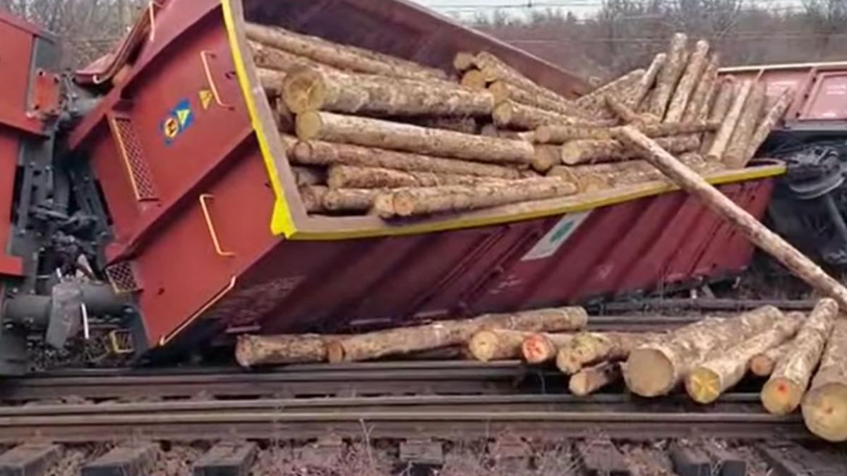 tren 26 vagoane incarcat lemne deraiat mehedinti