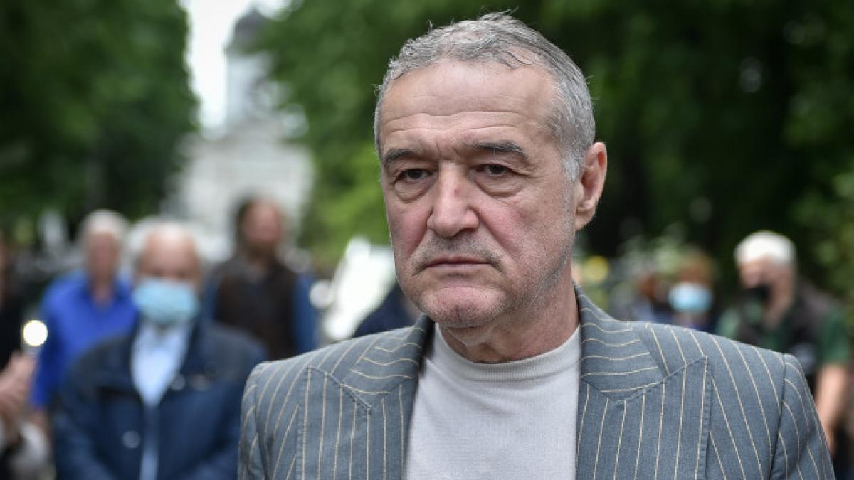 gigi becali hotel ioan niculae litoral