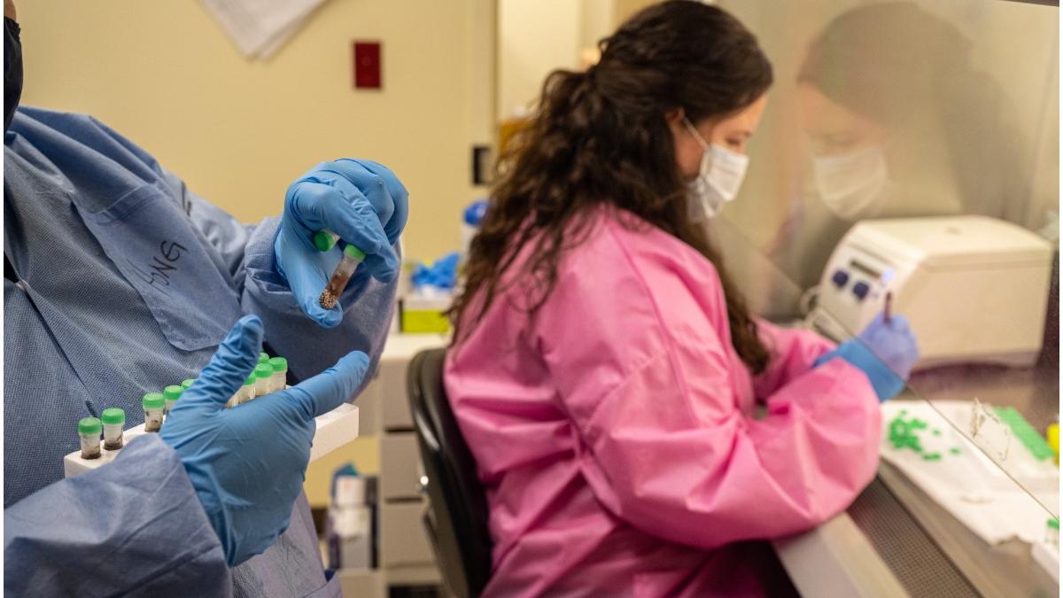 oms nume tulpina omicron covid