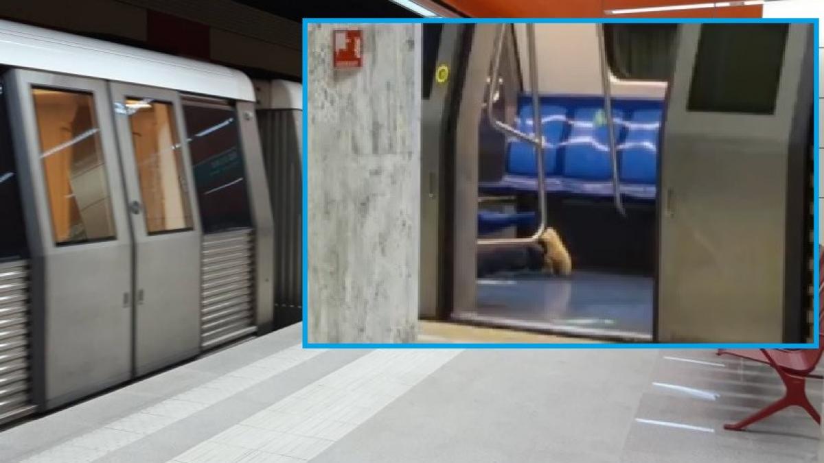 circulatie perturbata la metrou dupa ce unui calator i s a facut rau