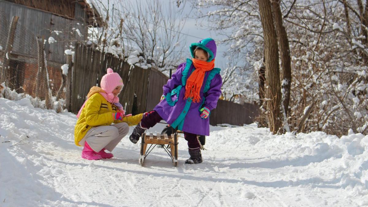 sorin cimpeanu vesti vacanta iarna elevi aparitie tulpina omicron