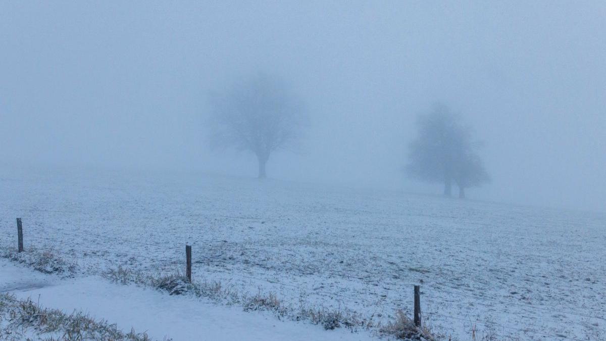 alerta meteo europa aer polar romania ninsori